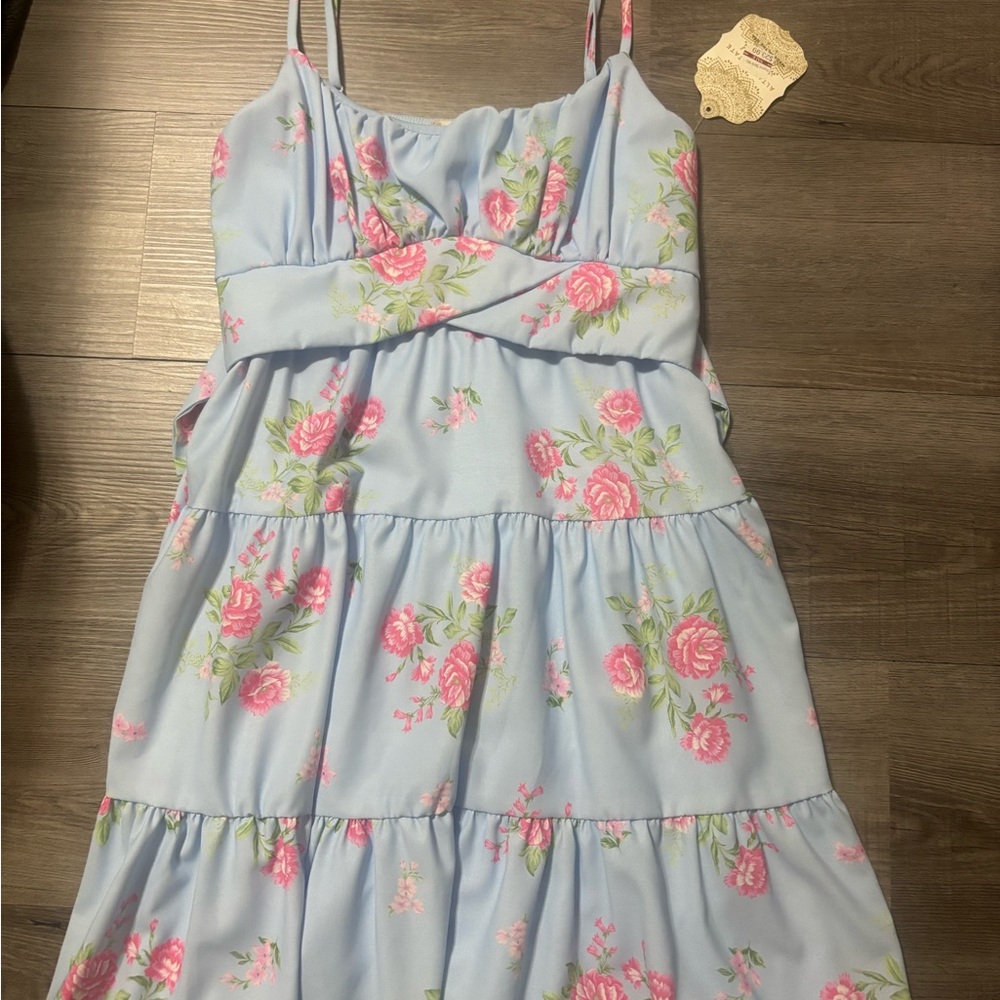 Altar'd State Blue and Pink Floral Dress